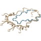 Collana 4US Paciotti Multi Charms - 4UCL3371W Collana 4US Paciotti Multi Charms - 4UCL3371W