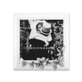 Cornice Raspini Luce Farfalle - 2384