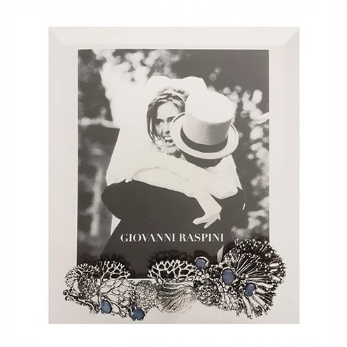 Cornice Raspini Luce Nautilus - 2388