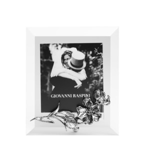 Cornice Raspini Luce Orchidee Piccola - 2350