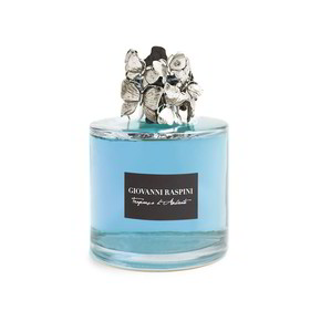 Diffusore Giovanni Raspini Farfalle Grande - XB0101