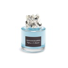 Diffusore Giovanni Raspini Farfalle - XB0104