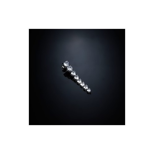 Mono Orecchino Chiara Ferragni Infinity - J19AVG08