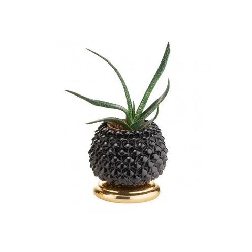 Oggettistica Acca Argenti Pigna Portafotuna - AR 662 VP/NERO