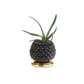 Oggettistica Acca Argenti Pigna Portafotuna - AR 662 VP/NERO