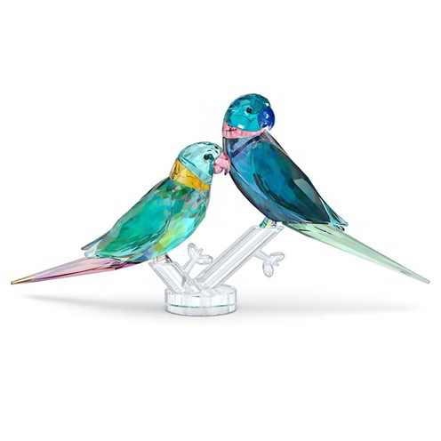 Oggettistica Jungle Beats Pappagallini Fife E Fifer - 5577124