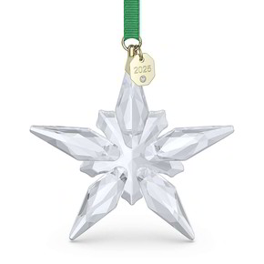 Oggettistica Swarovski Annual Edition 2025 - 5691172 Oggettistica Swarovski Annual Edition 2025 - 5691172