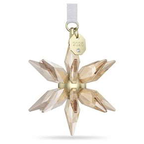 Oggettistica Swarovski Annual Edition 3D 2025 - 5701505 Oggettistica Swarovski Annual Edition 3D 2025 - 5701505