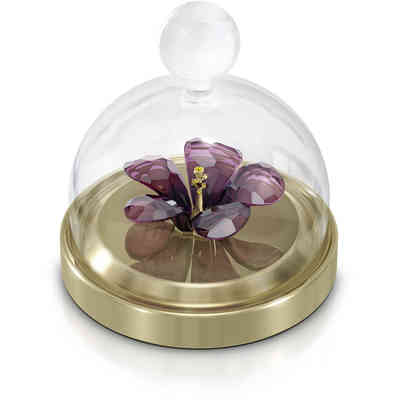Oggettistica Swarovski Crystal Living Garden Tales Jar Hibiscus - 5619224 Oggettistica Swarovski Crystal Living Garden Tales Jar Hibiscus - 5619224