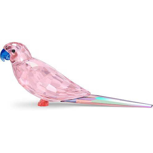 Oggettistica Swarovski Crystal Living Jungle Beats Pappagallino Cha Cha - 5557848