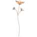 Oggettistica Swarovski Crystal Living Magnolia - 5557799 