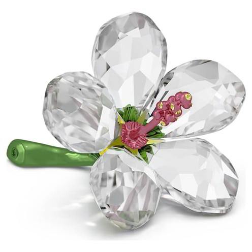 Oggettistica Swarovski Florere Ibisco - 5690534