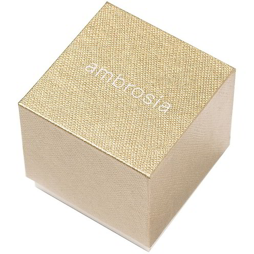 Orecchini Donna Ambrosia Punti Luce - AOZ 163
