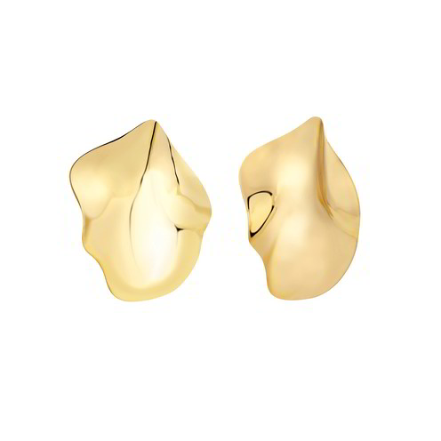 Orecchini Donna Breil Poetic - TJ3700