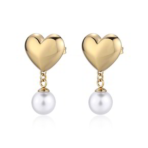 Orecchini Brosway Donna Perfect in Argento BPC22